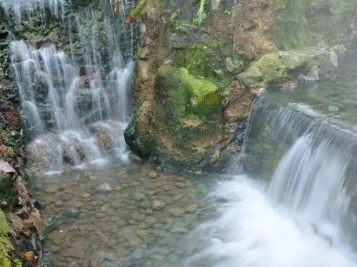 A waterfall spilling down through dense rainforest