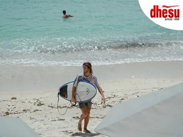 A surfer carrying a board along the shoreline of a tropical beach
