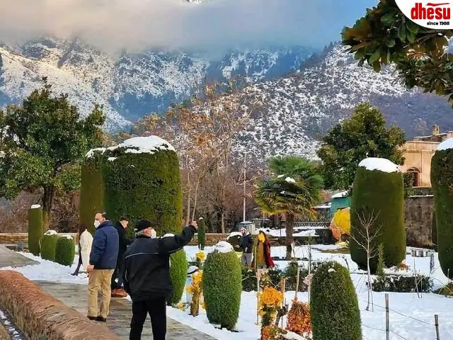 Dal Lake Srinagar Kashmir