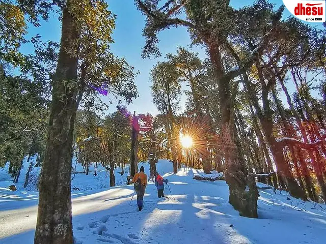 Shimla and toy train