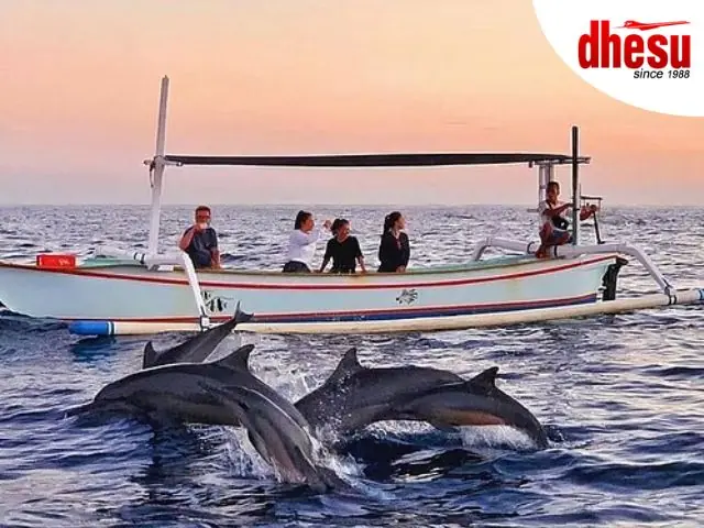 4 Days Sunrise Dolphin Watching
