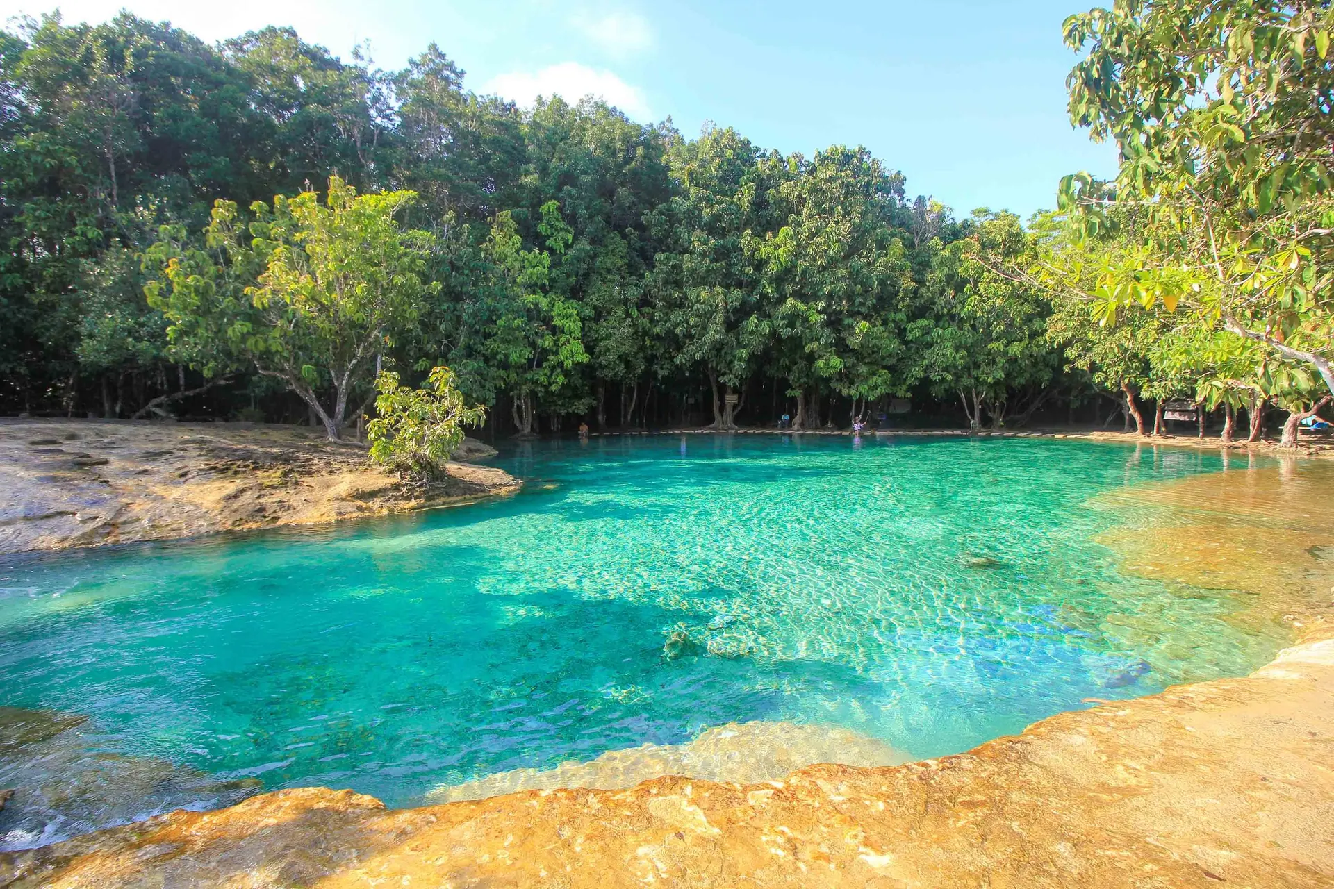 A calm turquoise lagoon fringed by trees